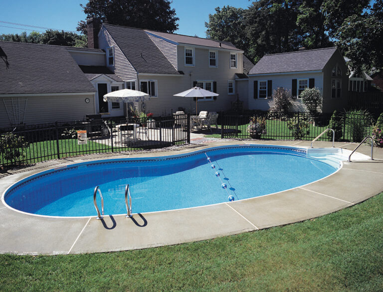 Kidney LaFrance 768x585 1